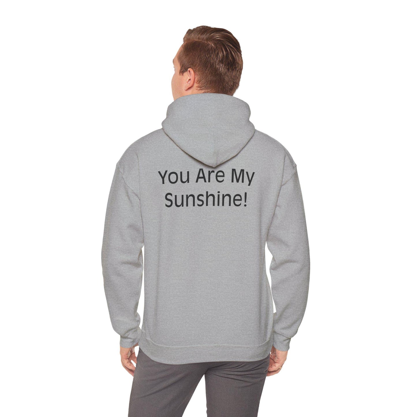 You Are My Sunshine Hooded Sweatshirt | Motivational Hoodie | Cozy Love Gift