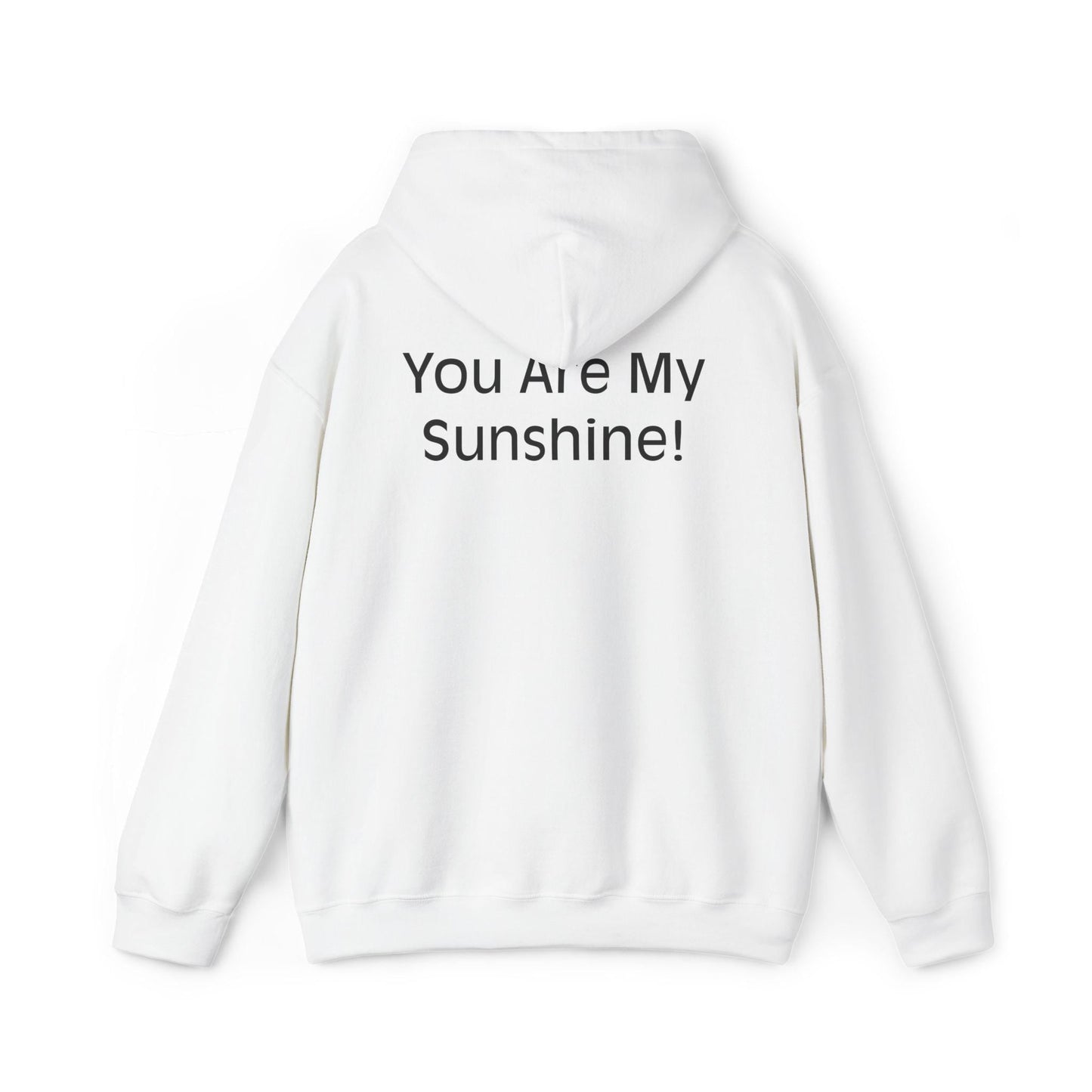 You Are My Sunshine Hooded Sweatshirt | Motivational Hoodie | Cozy Love Gift