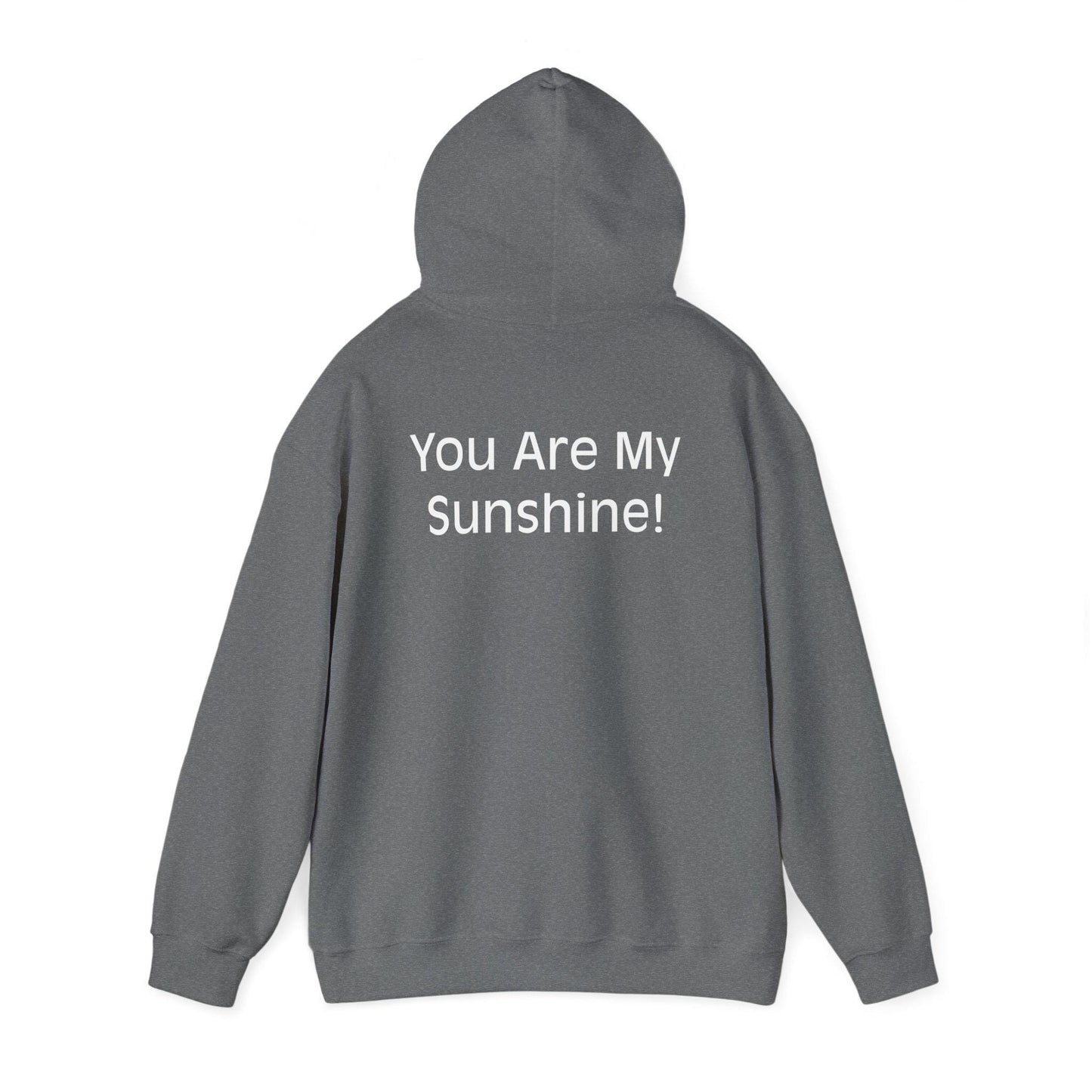 You Are My Sunshine Hooded Sweatshirt | Motivational Hoodie | Cozy Love Gift